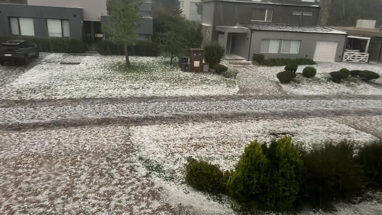 Los videos de la tormenta feroz en Mar del Plata: granizo de hasta 4 centímetros destrozó autos y dañó casas