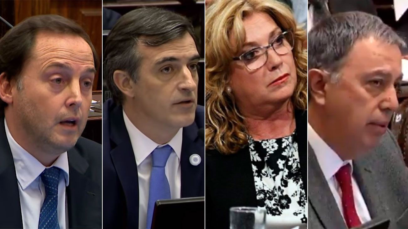 Despenalización del aborto: las frases más insólitas de los senadores durante el debate