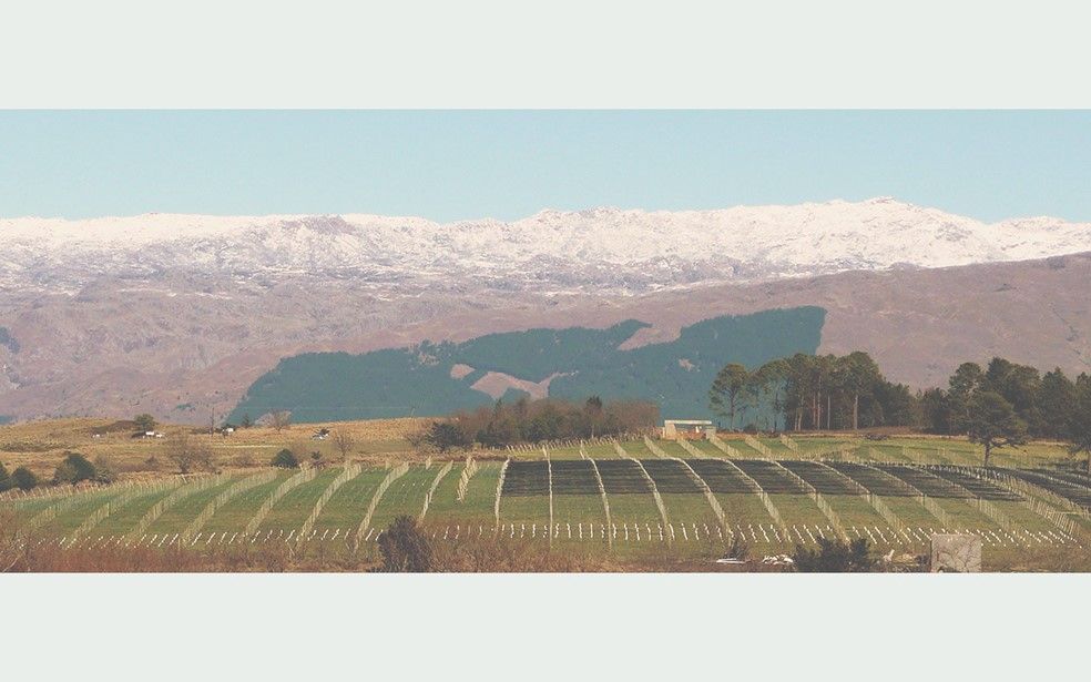 El camino del vino en Córdoba