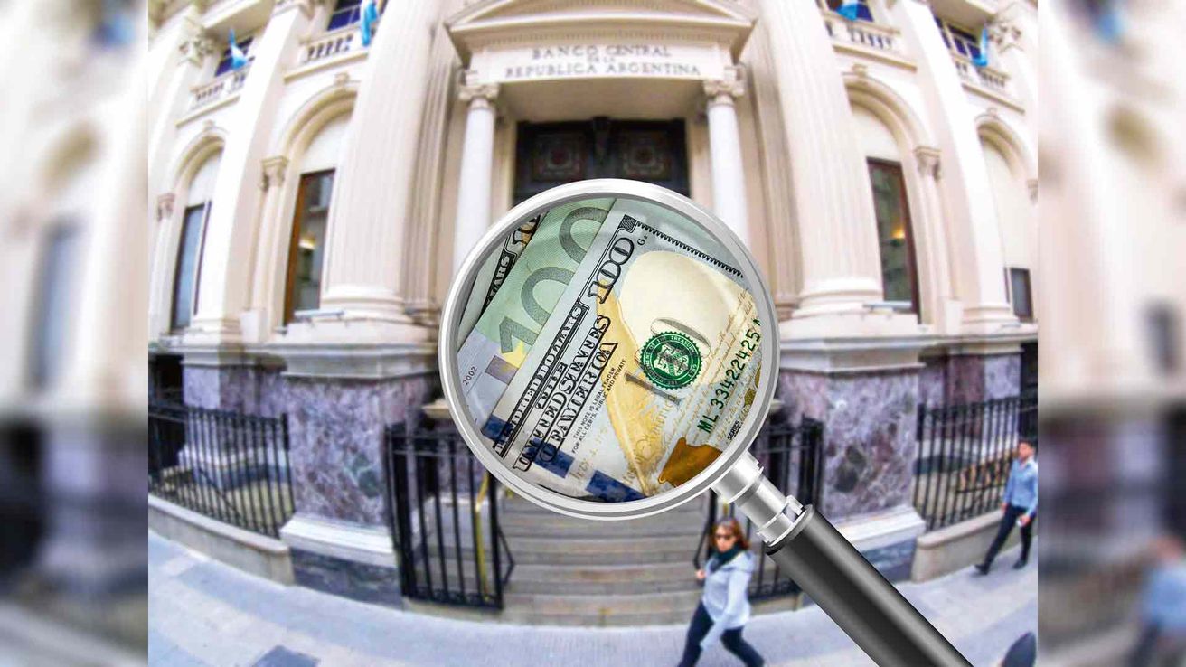 Dólar picante: ¿por qué no es ingenuo pensar que llegue a $400?