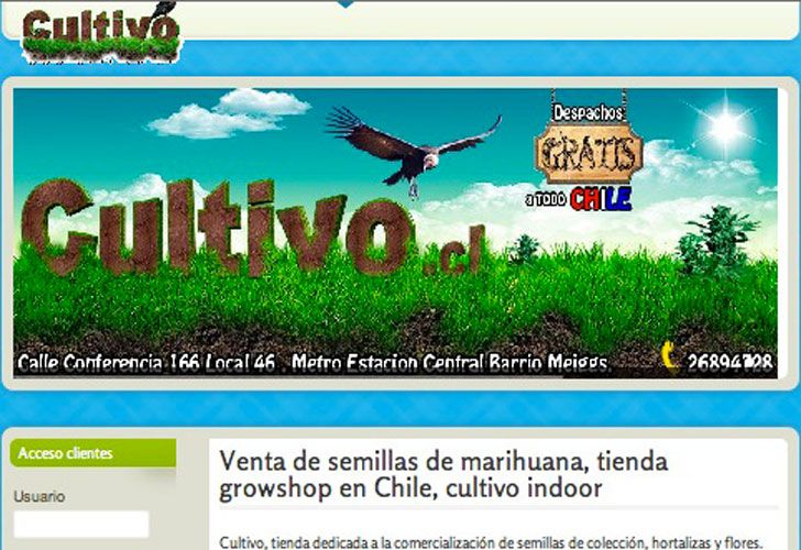 Venden semillas de marihuana on line y con tarjeta