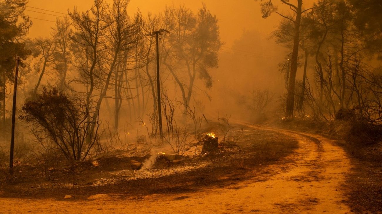 Ola de calor en Mediterráneo: otra señal de calentamiento global