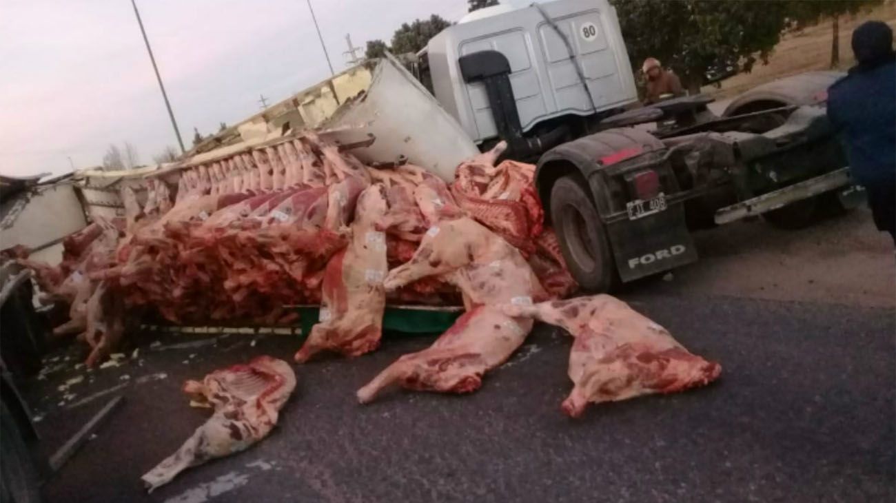 Fotos: volcó un camión y los vecinos se llevaron la carne