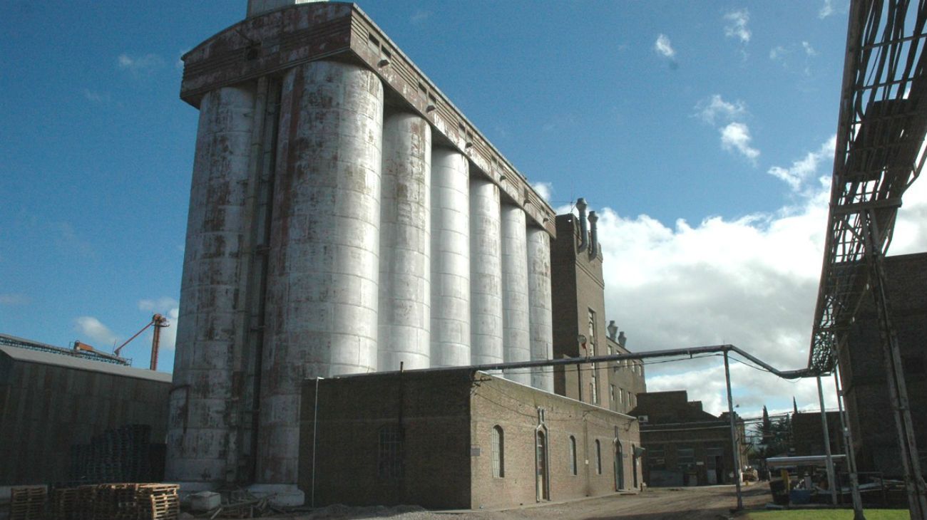 Los molinos piden subir el precio de la harina por no poder cubrir los costos de producción