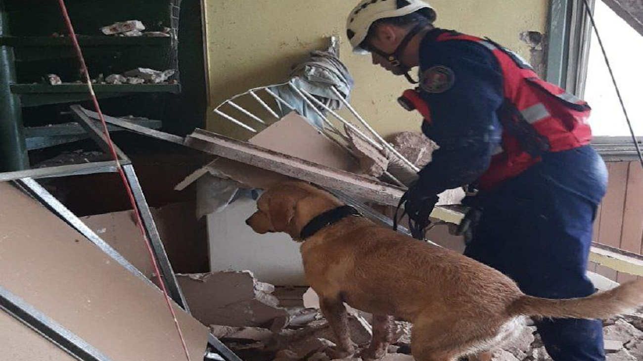 Derrumbe en Caballito: la constructora había sido denunciada "porque la excavación había tocado los caños del edificio"