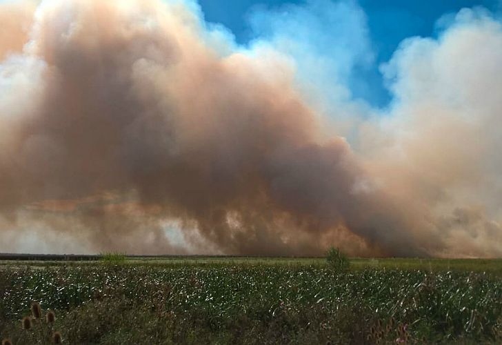 Más de mil hectáreas se incendian en la reserva de Punta Lara