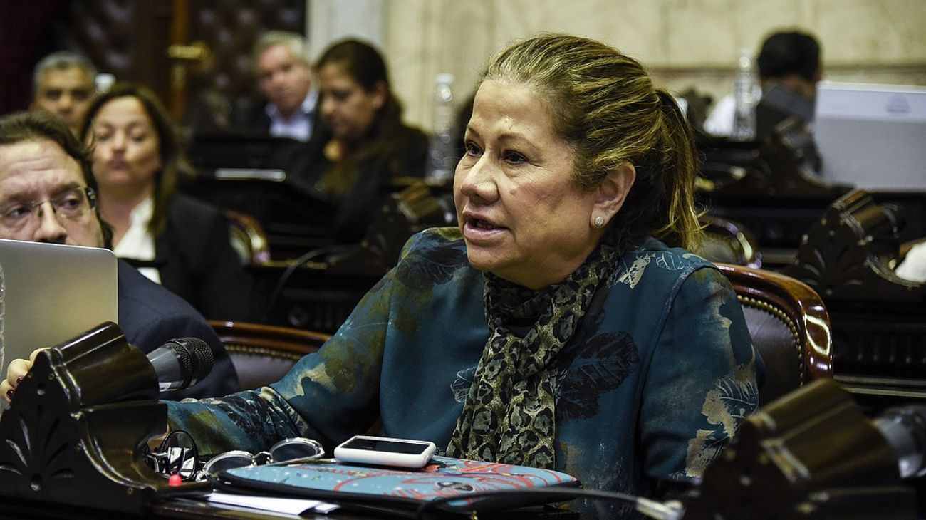 Graciela Camaño: "Me siento cerca de Juan Manuel Urtubey"