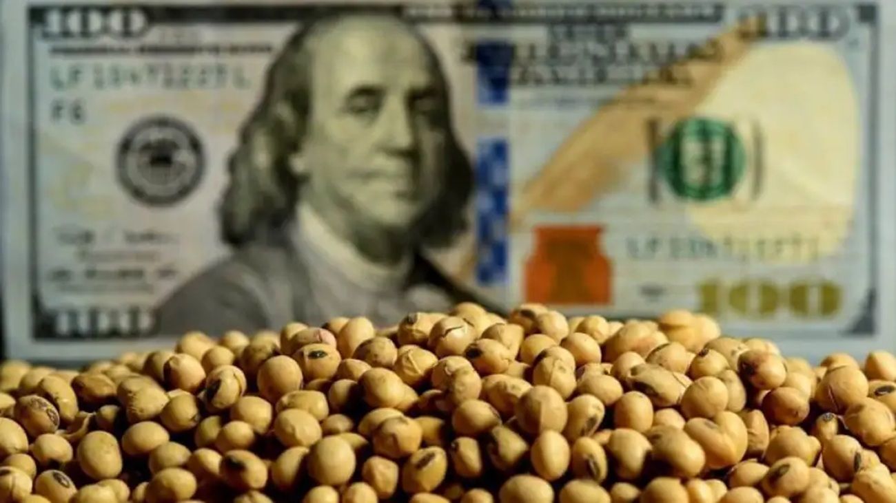 Entrada de divisas a través del agro: “Este 2026 podemos llegar a tener una liquidación de 29.600 millones”