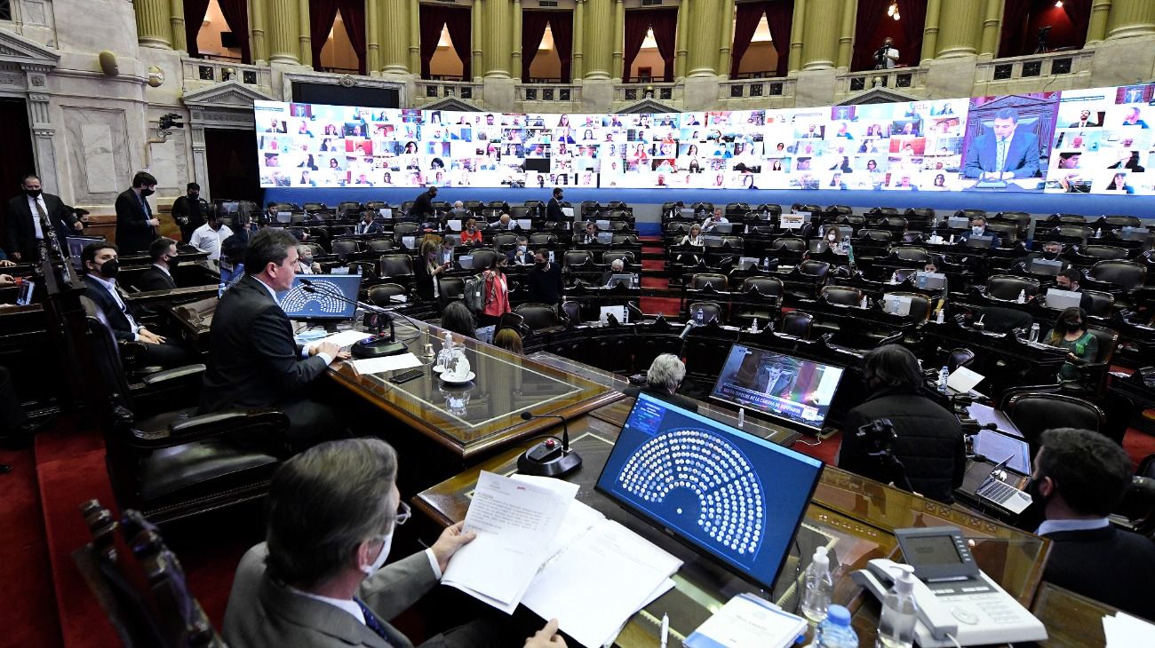 La Cámara de Diputados prepara un programa de acompañamiento escolar post-pandemia