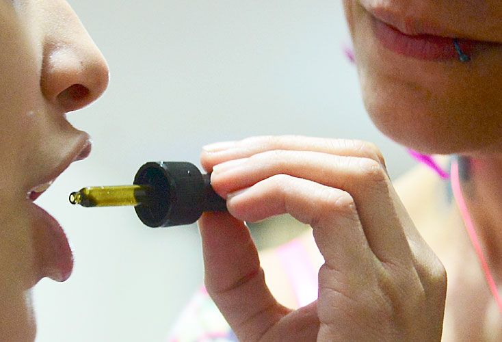 Tras la ley de cannabis, hay furor académico por estudiar su uso medicinal