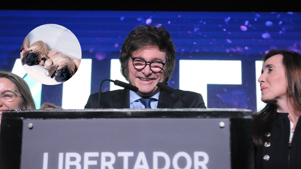 Congreso: ninguna fuerza quedará con quórum propio y los libertarios tendrán un papel central