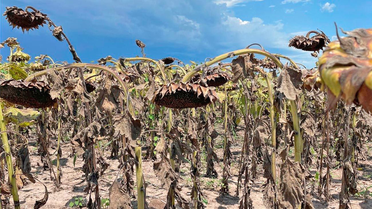 Riesgo país ambiental