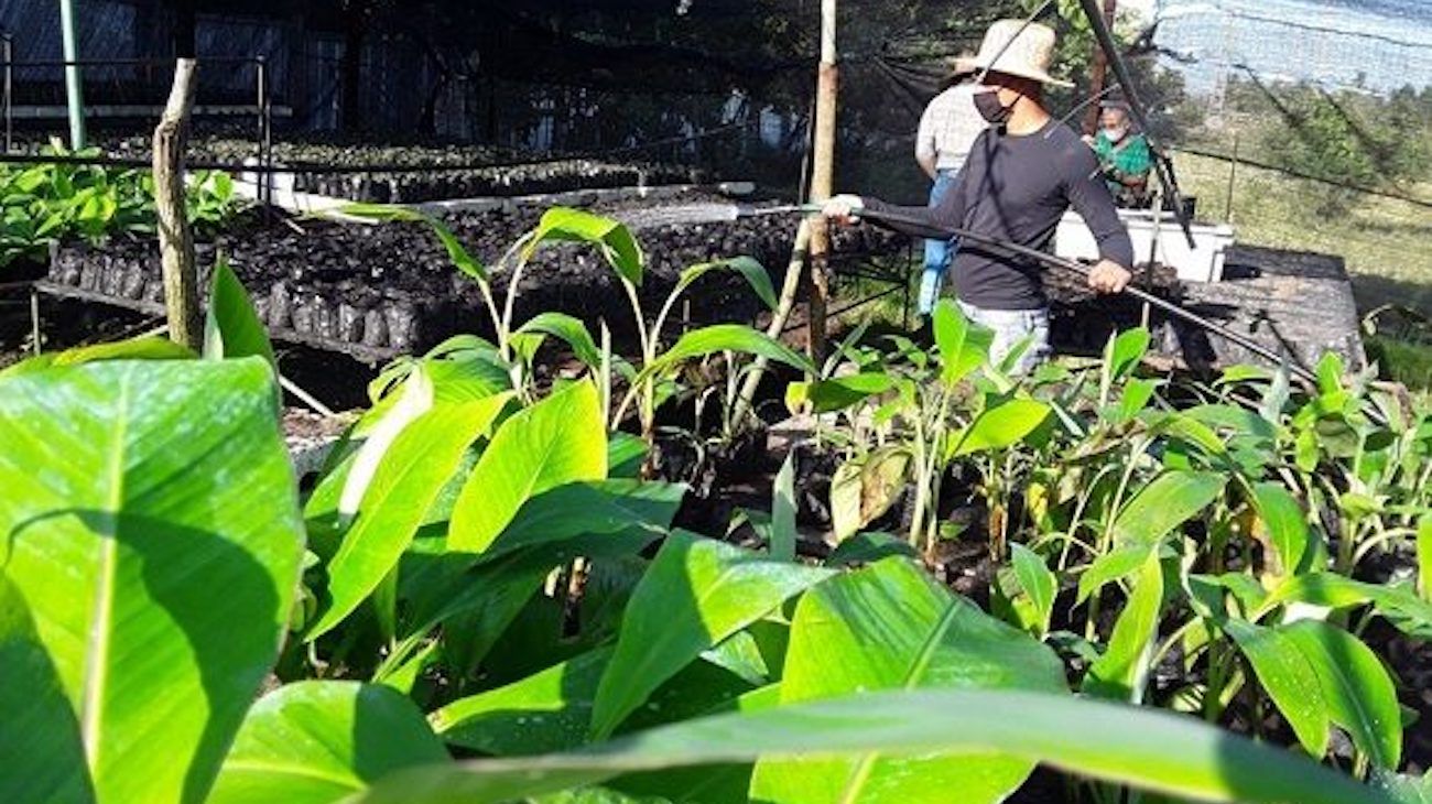 Argentina aportará conocimiento y máquinas para desarrollar cultivos de soja y maíz en Cuba