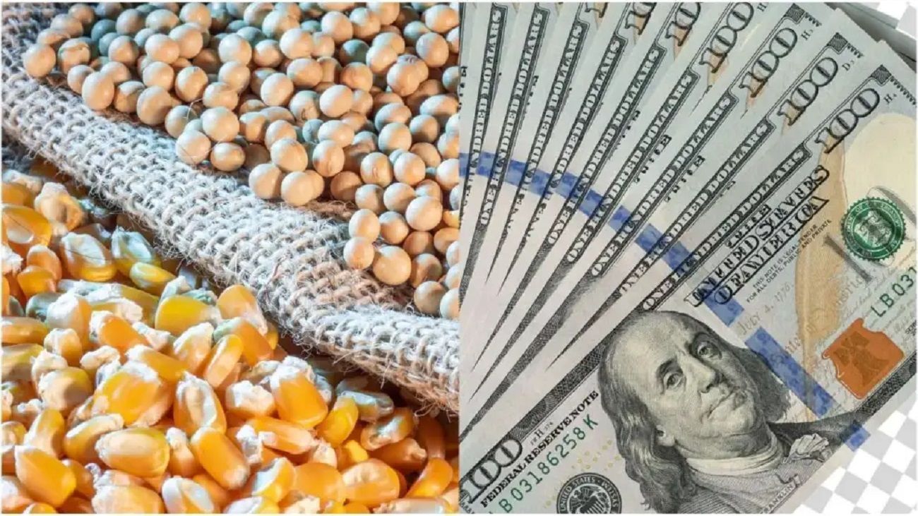 “6 de cada 10 dólares que ingresan al país provienen de las cadenas agroindustriales”