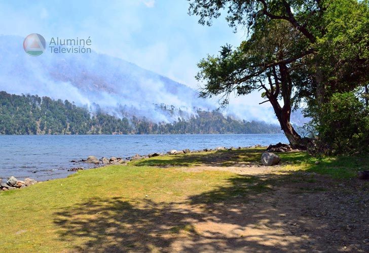 Fotos | Devastadores incendios en Neuquén