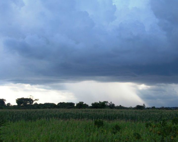 Cómo estará el clima hasta fin de año