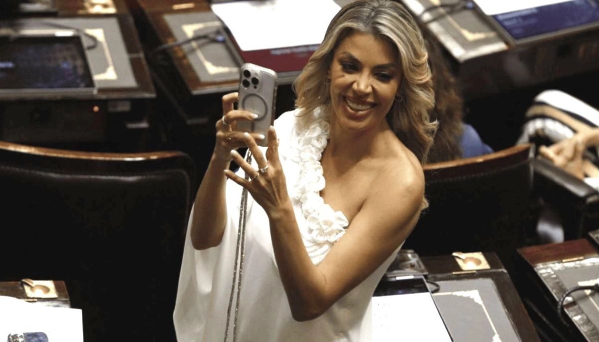 Polémico proyecto de Virginia Gallardo: busca declarar de interés los Premios Martín Fierro