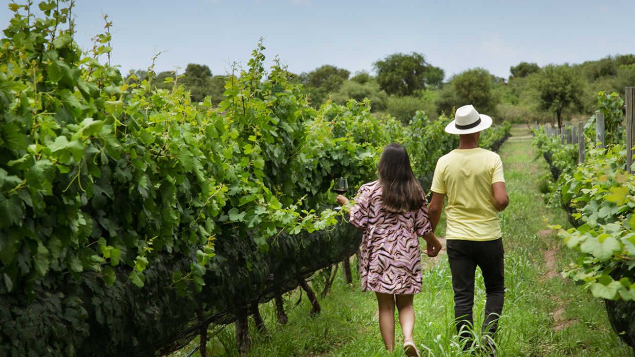 La Matilde y el arte de vivir el verano en Traslasierra