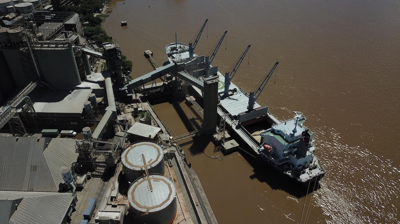 El campo aportaría US$ 35.800 millones por exportaciones en 2024