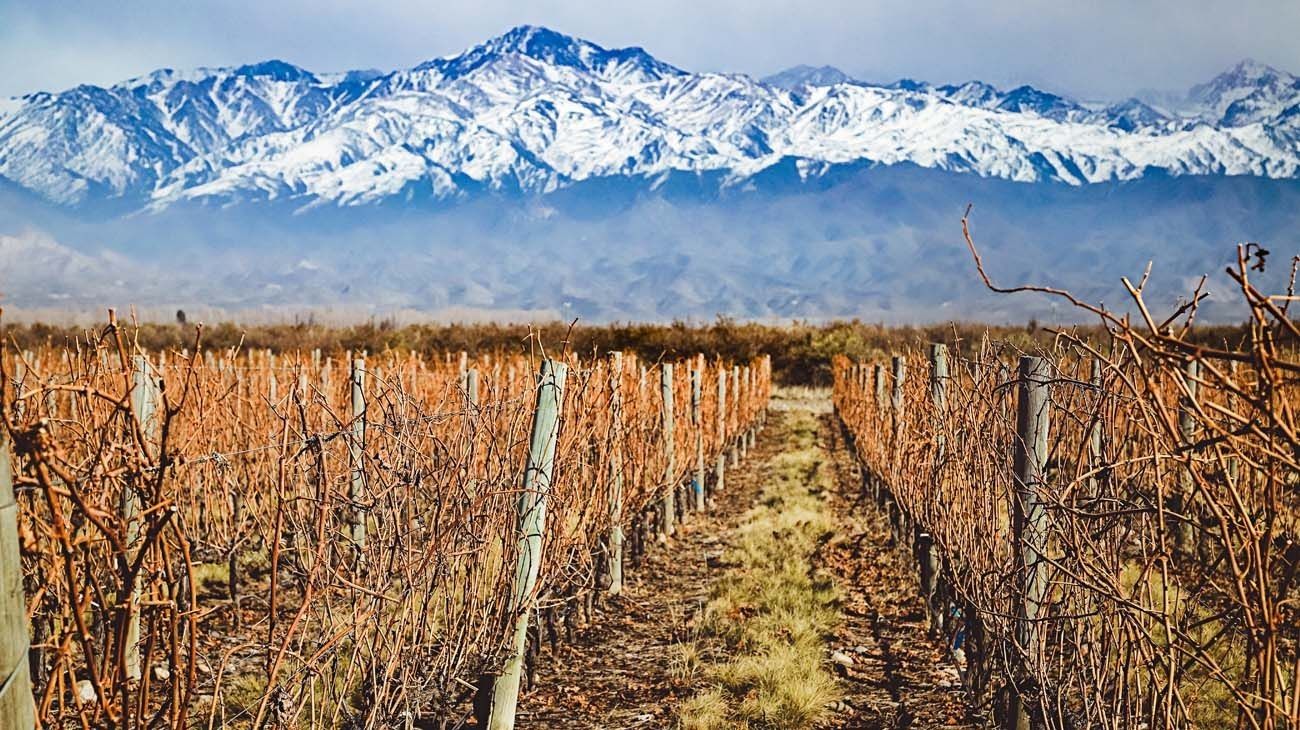 Turismo: qué actividades ofrece Mendoza para el fin de semana XXL