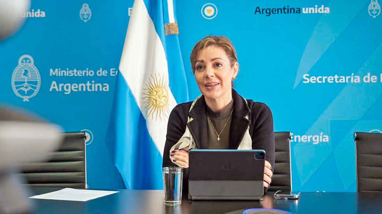 Royón, al Congreso por un proyecto clave sobre gas