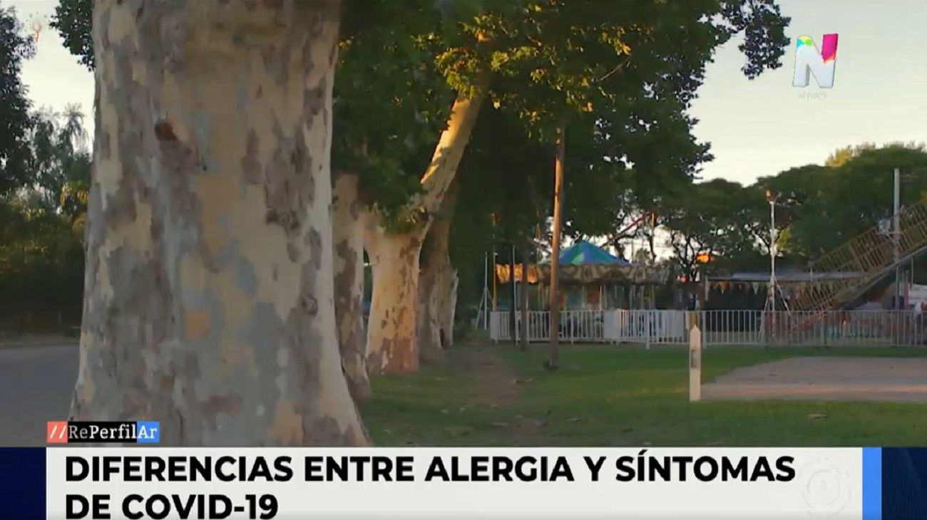 Cómo diferenciar los síntomas de la alergia estacional del Covid-19