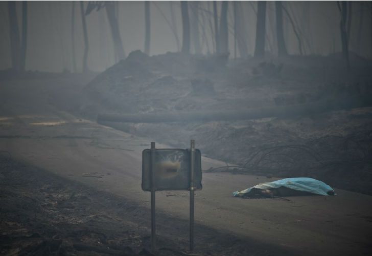 Ya son 62 los muertos por un incendio forestal en Portugal