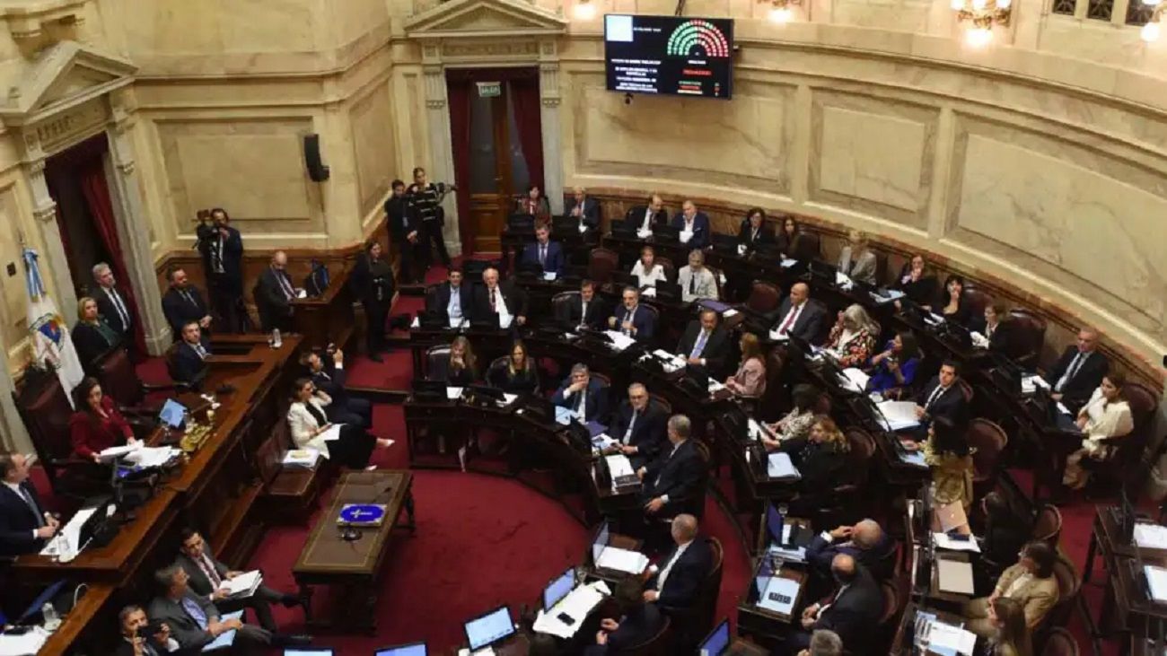 Senadores del NEA: entre el bajo perfil, la desaprobación y el avance libertario
