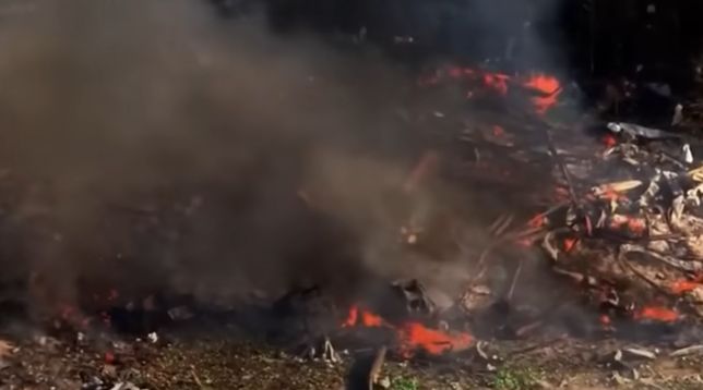 Tragedia en una planta de explosivos en Tennessee deja 16 muertos y desata conmoción en la comunidad