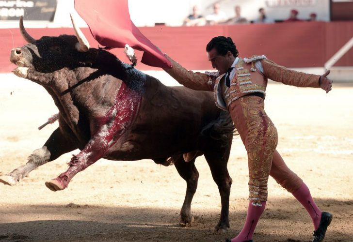 Fotos | Muere en Francia Iván Fandiño, el último torero vasco