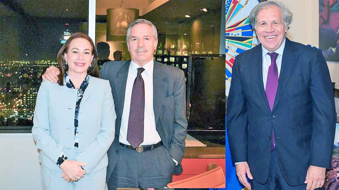 Argentina desafía a EE.UU. en la elección del próximo secretario general de la OEA