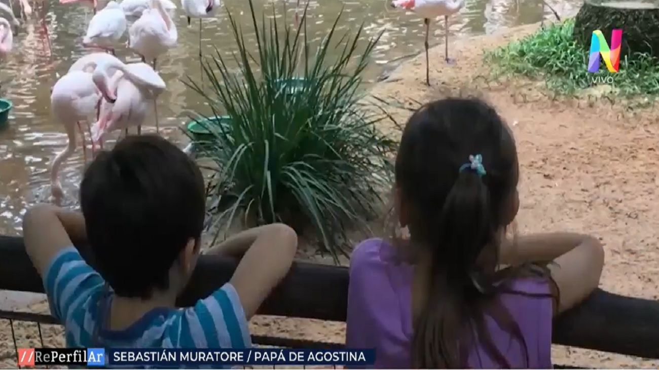 Infancias trans: los desafíos de padres y madres