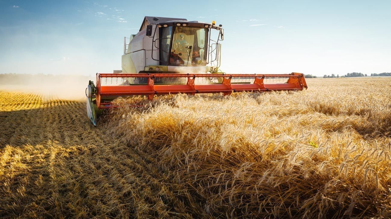 Campo: las lluvias trajeron alivio al sector y la zona núcleo sigue en campaña