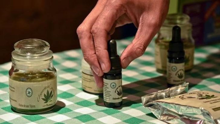 Cordobeses quieren crear el Clúster Argentino del Cannabis Medicinal