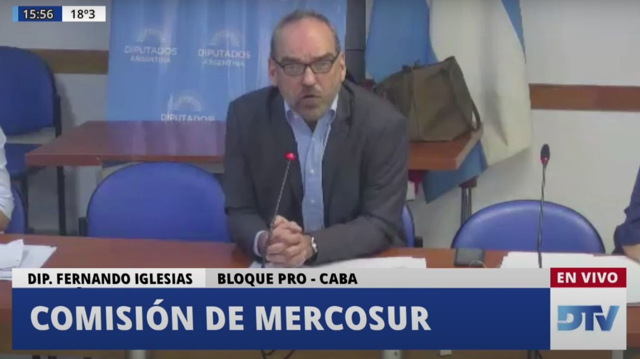 Vivo | Diputados: reunión virtual de la comisión de Mercosur