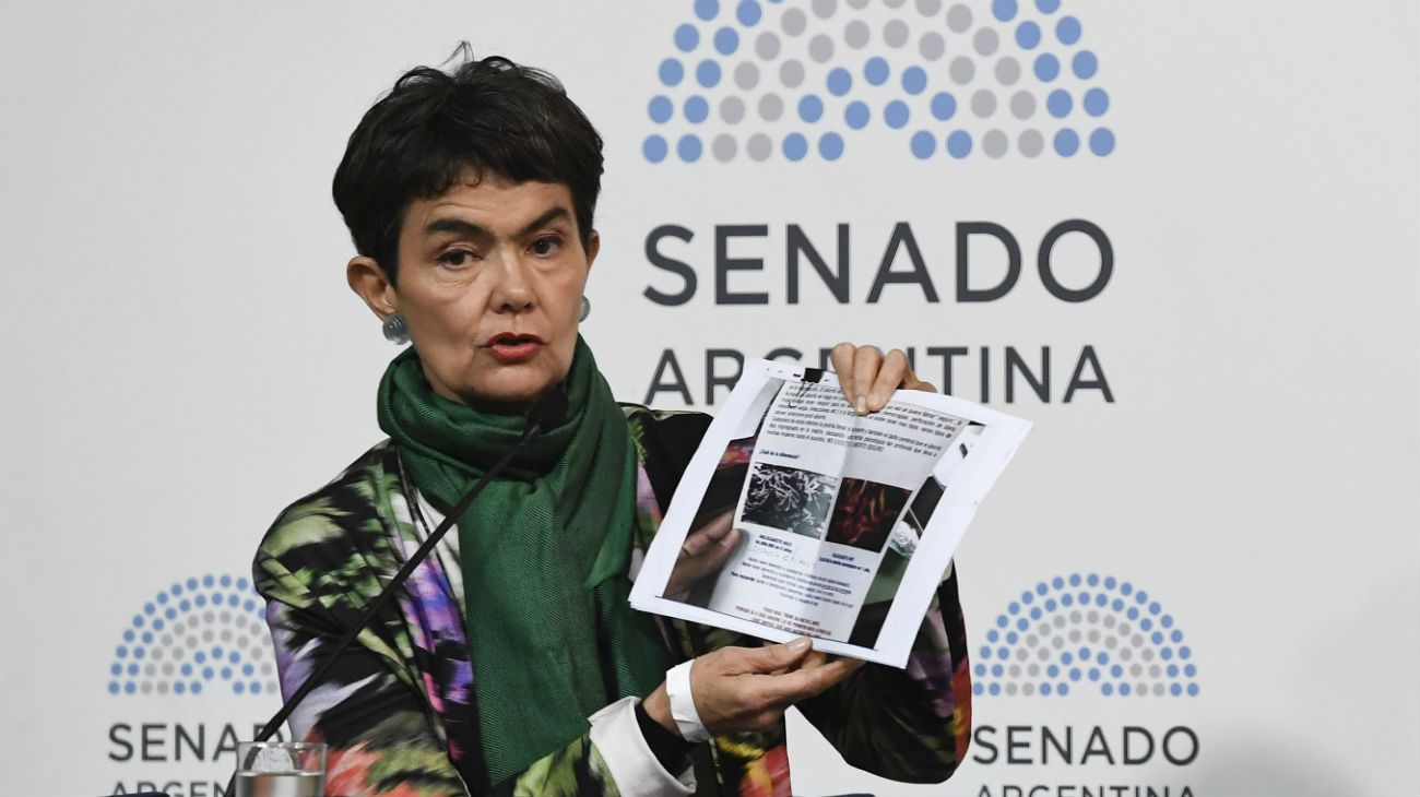 Obarrio y Estenssoro dejaron una jornada de alta tensión en el Senado