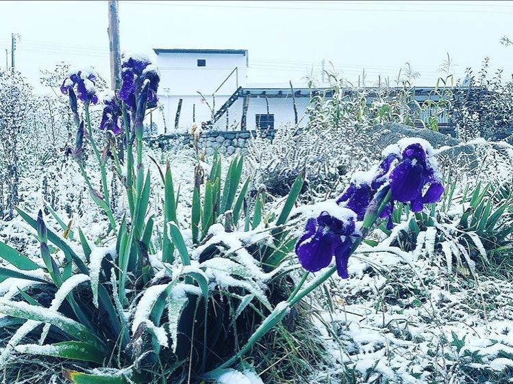Tucumán: la primera nevada del año en Tafí del Valle