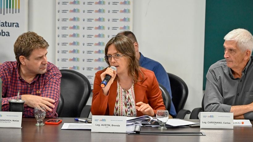 La UCR arremete con una nueva ley de acceso a la información pública