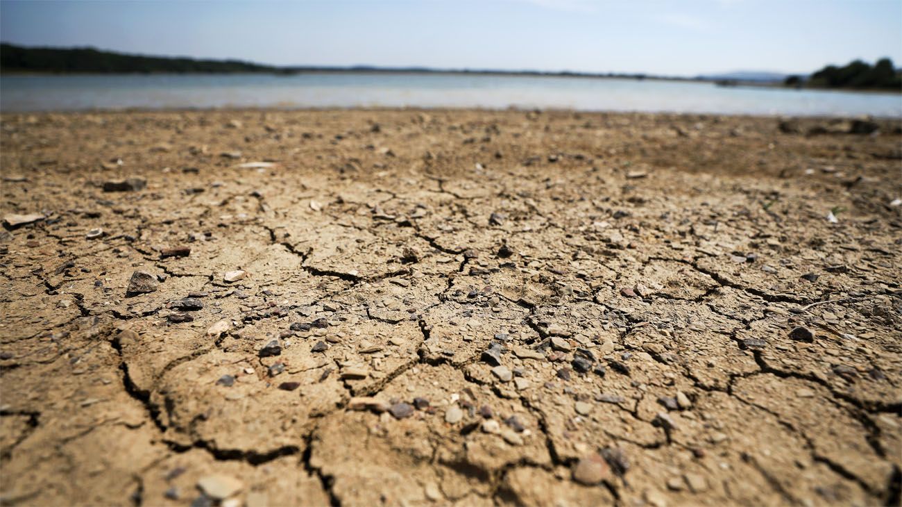 Lucha climática se intensificará tras elecciones: Liam Denning