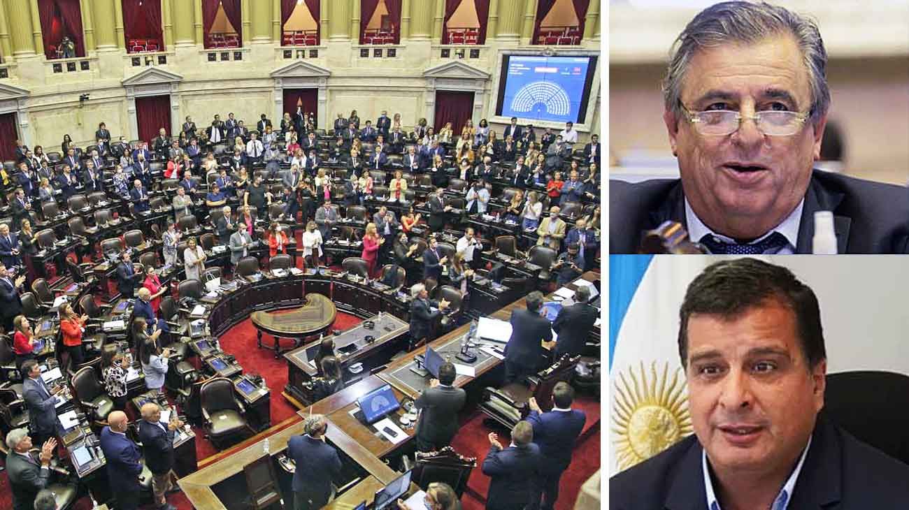 La reforma del Consejo se estancó en la Cámara baja