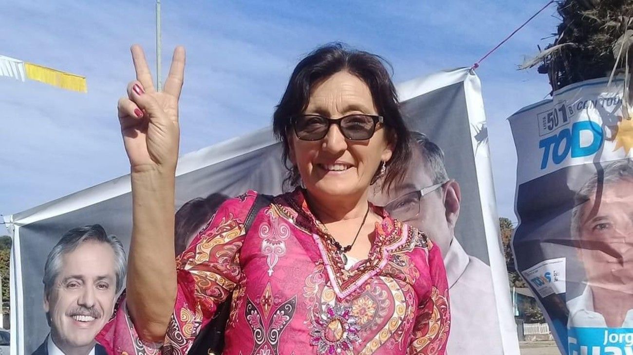 Quién es Alcira Figueroa, la posible reemplazante de Juan Ameri
