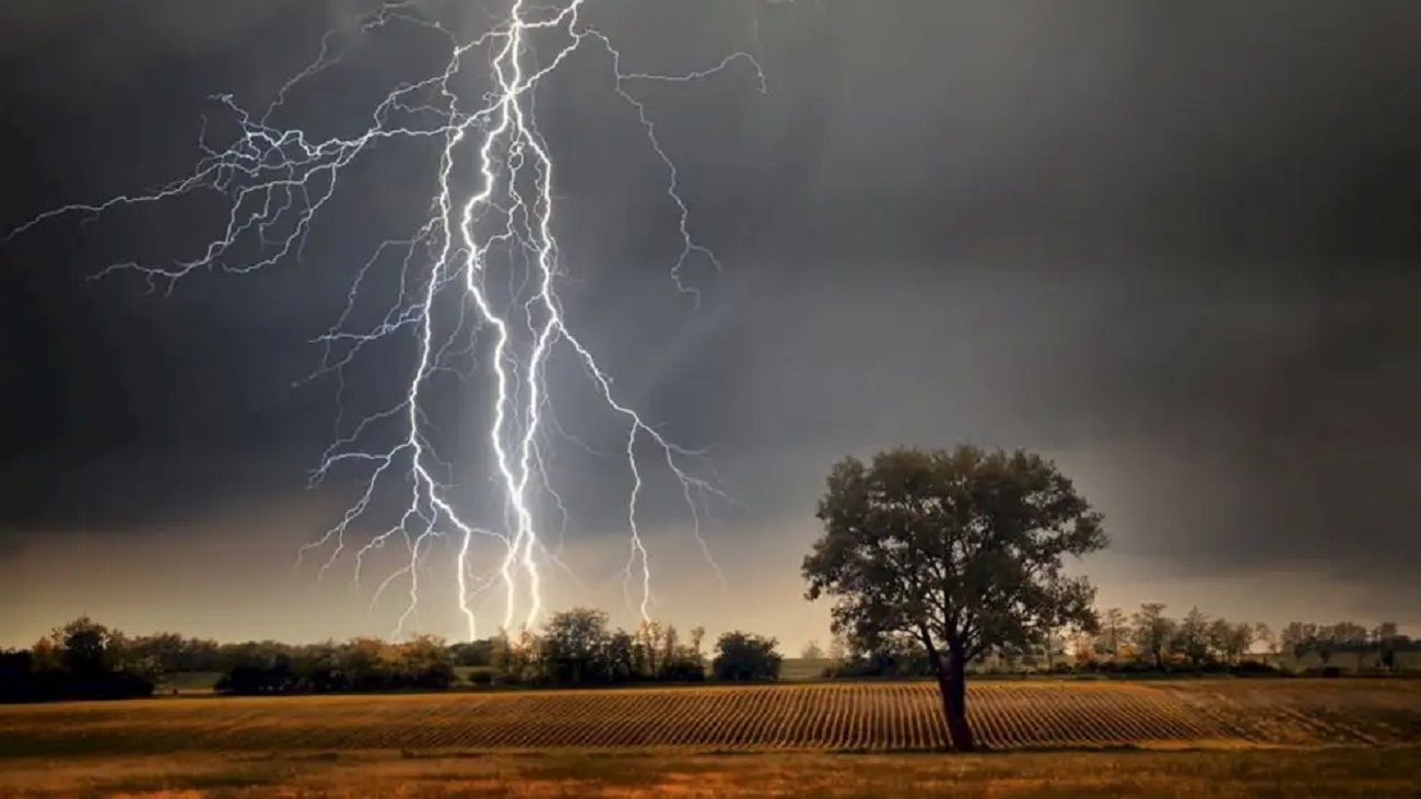 Tormenta de Santa Rosa en los campos de una localidad cordobesa: “Hay más de 3.000 hectáreas afectadas”