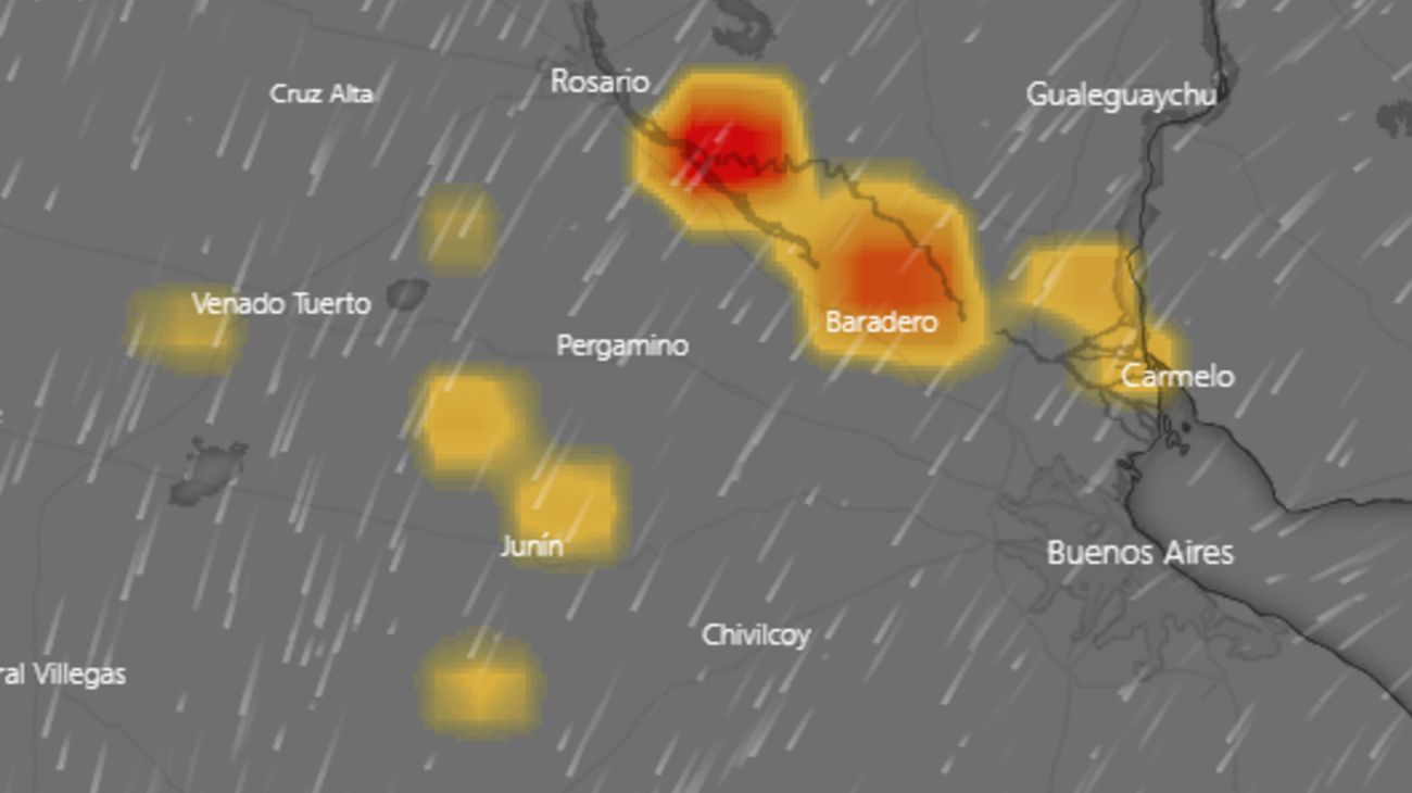 Incendios forestales acechan islas del Delta del Paraná en Santa Fe, Entre Ríos y Buenos Aires