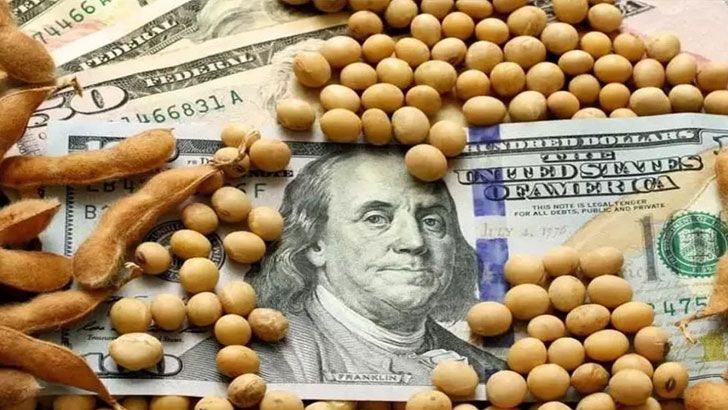 Devaluación: el “dólar agro” quedó sepultado tras las PASO