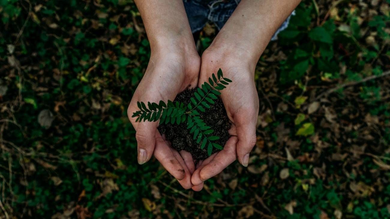Cómo transformar las ciudades argentinas para enfrentar el cambio climático