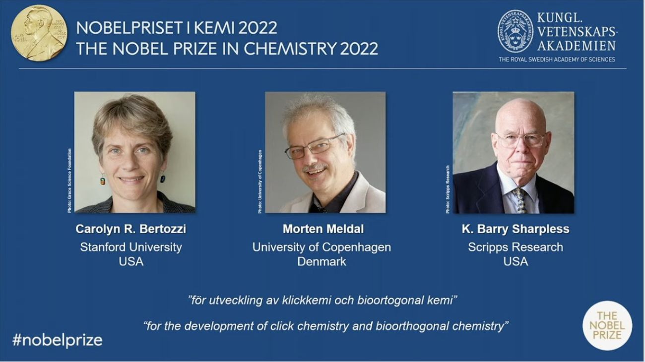 Nobel de Química para el “ingenio” en la construcción de moléculas