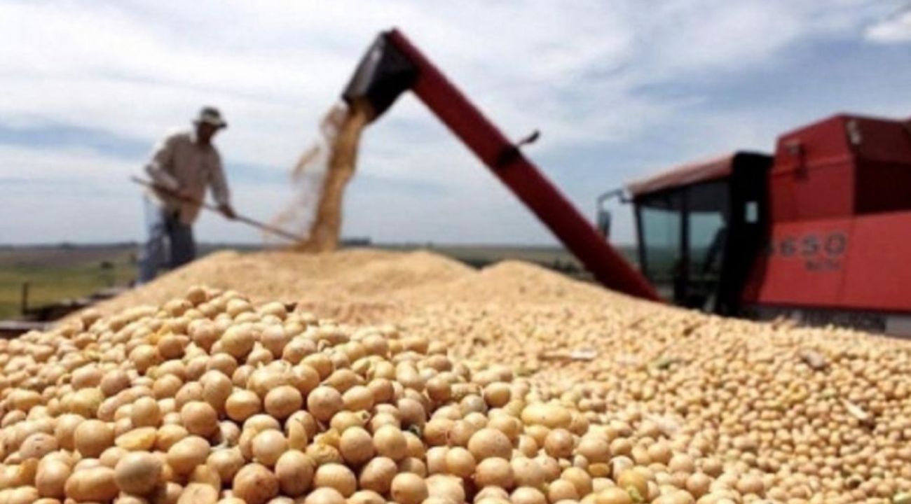 Retenciones: por qué el Gobierno no tiene margen de eliminarlas a pesar del reclamo del campo