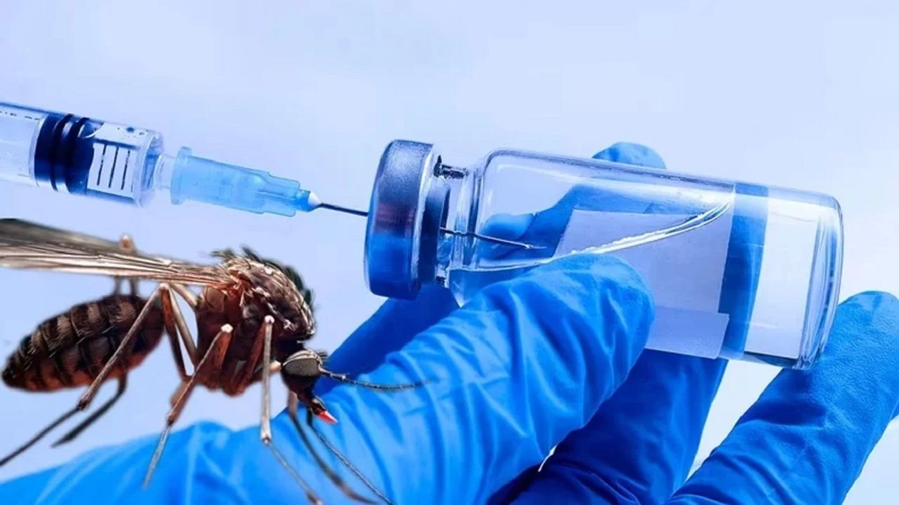 La ANMAT aprobó el primer test nacional de antígeno para diagnosticar el dengue