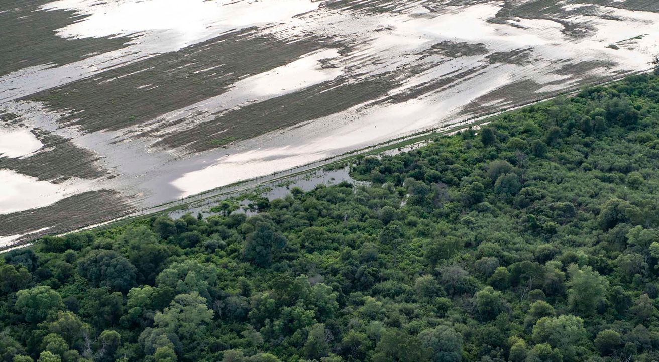 La deforestación ilegal en Chaco dejó más de 50 mil hectáreas arrasadas