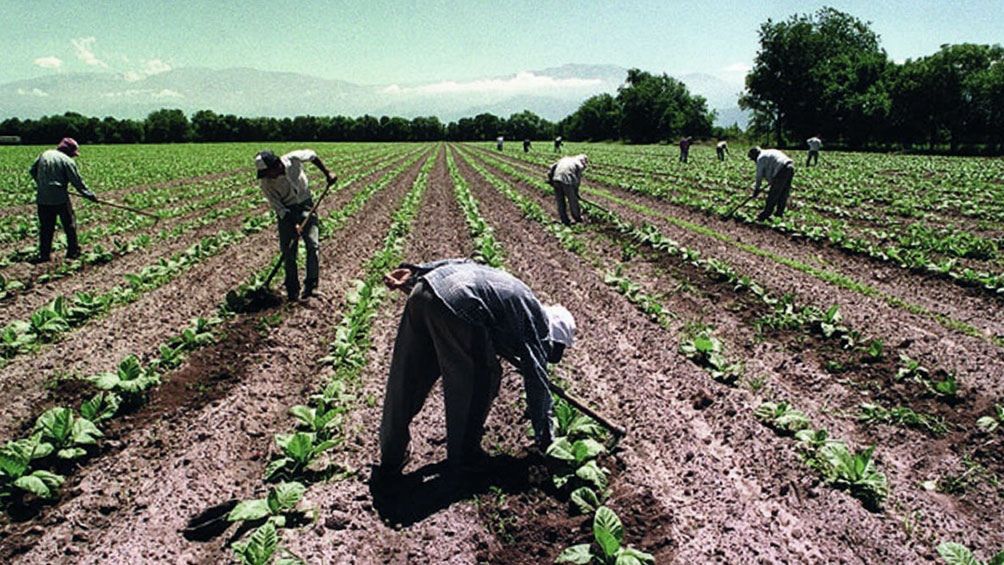 Trabajadores rurales piden un bono de fin de año de 60 mil pesos
